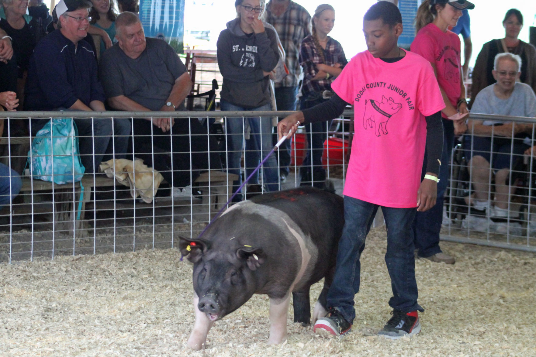 DC Fair Sunday 007.JPG